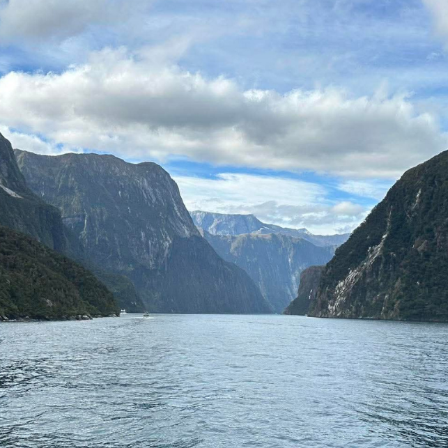 We’ve Expanded to New Zealand!