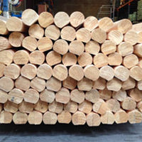 Continuous Timber Handrail In Pine